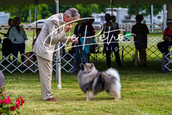 20190523-DSC07351