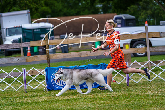 20190523-DSC06932