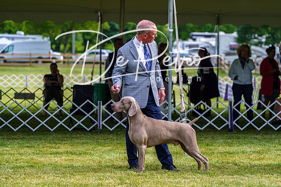 20190523-DSC07340