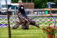 20190523-DSC06879