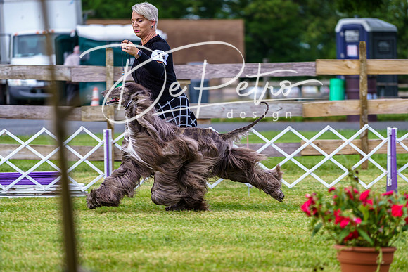 20190523-DSC06879