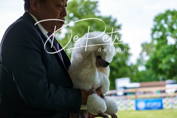 20190523-DSC07113
