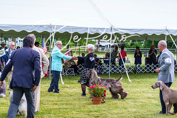 20190523-DSC07448