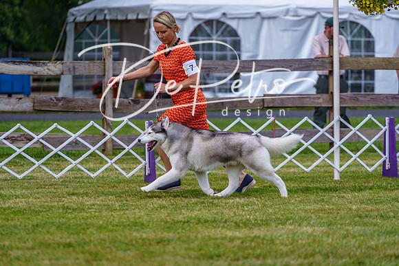 20190523-DSC06860