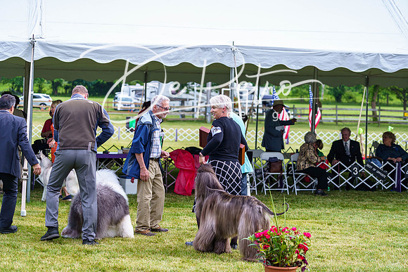 20190523-DSC07469