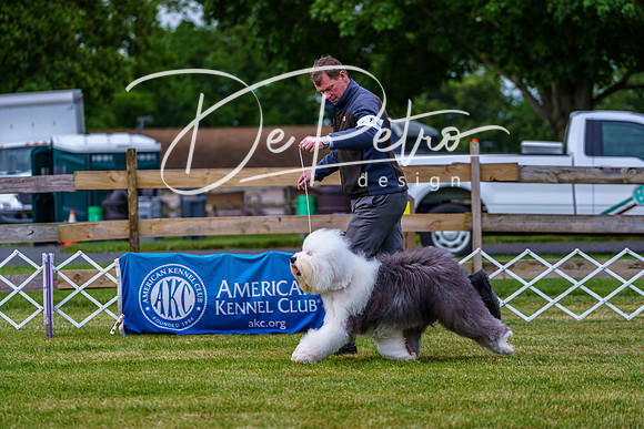 20190523-DSC07044