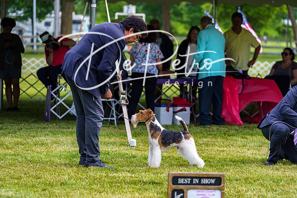 20190523-DSC07357