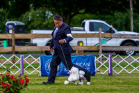 20190523-DSC06911