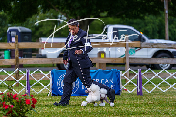 20190523-DSC06911