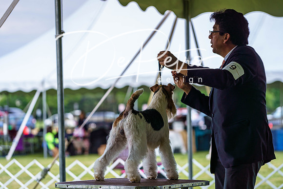 20190523-DSC07107