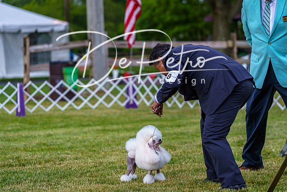 20190523-DSC07149