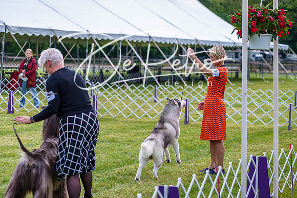20190523-DSC07429
