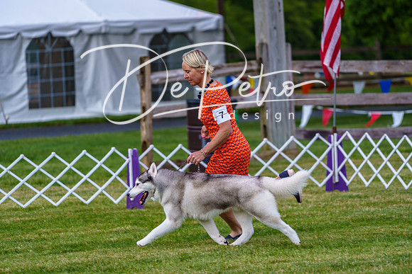 20190523-DSC07178