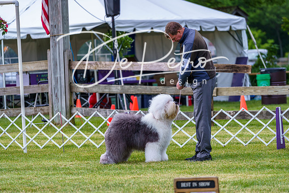20190523-DSC07301