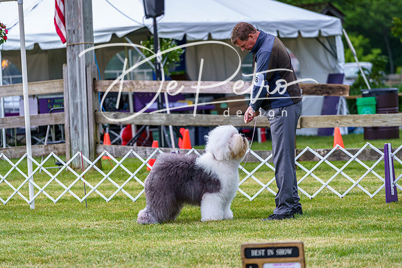 20190523-DSC07304