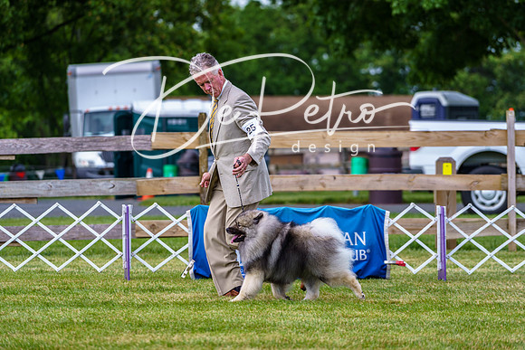 20190523-DSC07098