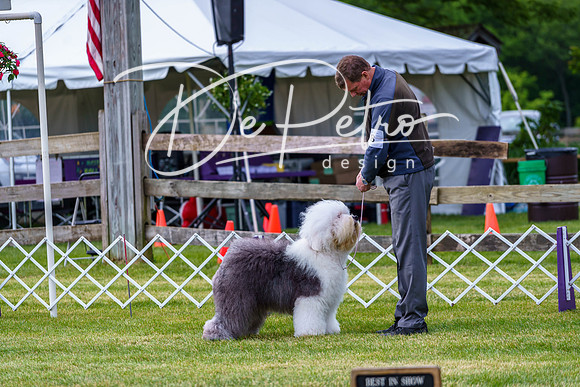 20190523-DSC07300