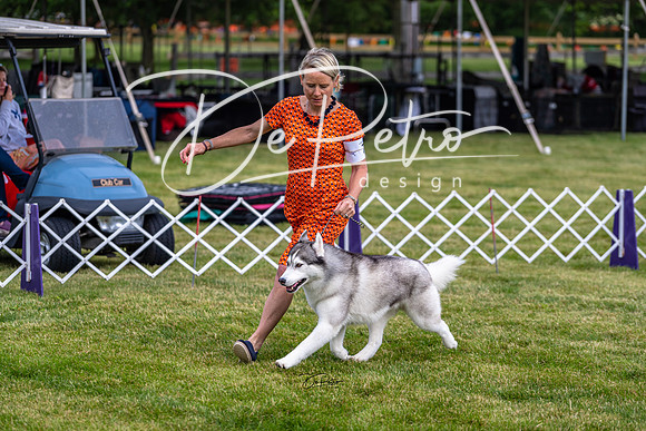 20190523-DSC07370