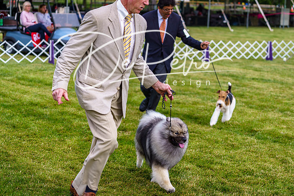 20190523-DSC07396
