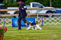 20190523-DSC06908