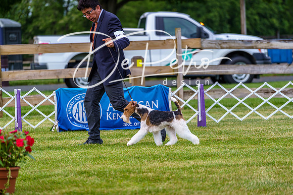 20190523-DSC06908