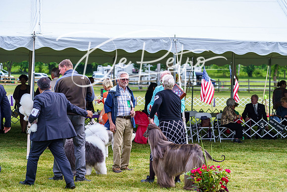20190523-DSC07465
