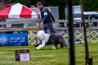 20190523-DSC06896