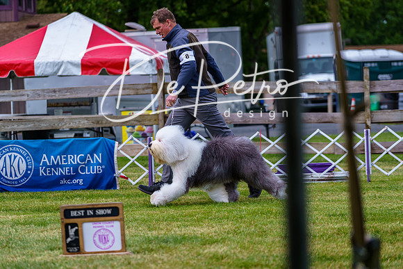 20190523-DSC06896