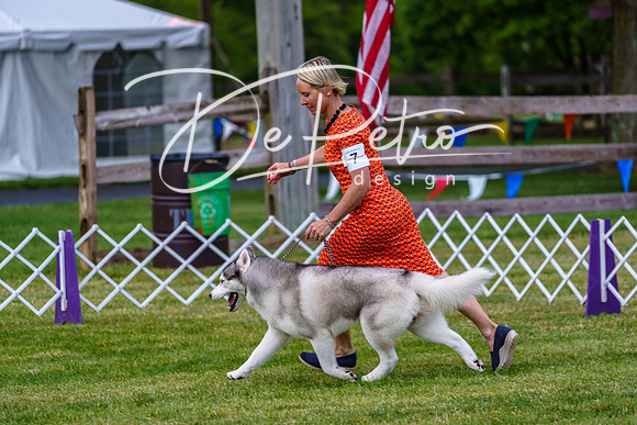 20190523-DSC07176