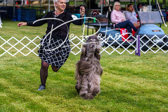 20190523-DSC07380