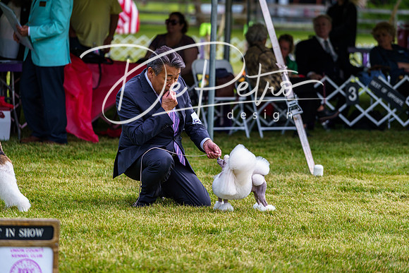 20190523-DSC07361