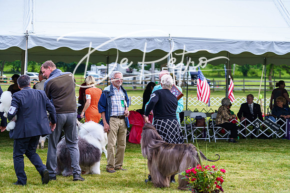 20190523-DSC07467
