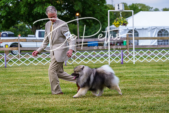 20190523-DSC07068