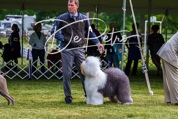 20190523-DSC07348