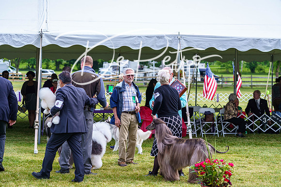 20190523-DSC07463