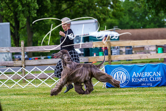 20190523-DSC07231