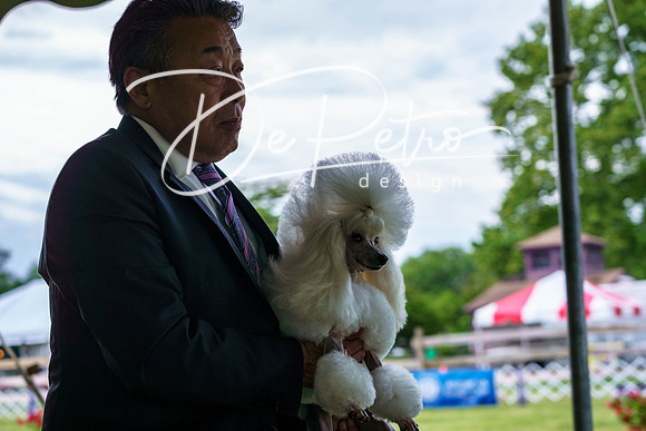 20190523-DSC07110