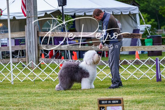 20190523-DSC07303