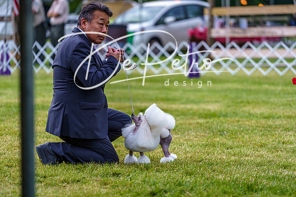 20190523-DSC07237