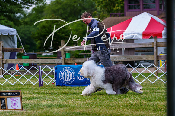 20190523-DSC07062