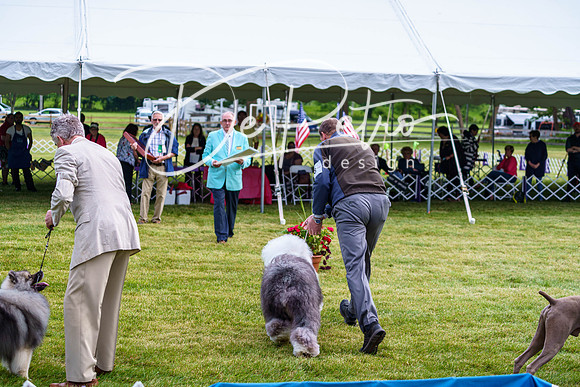 20190523-DSC07420