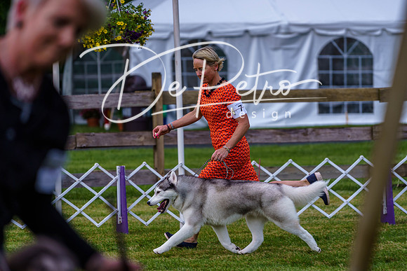 20190523-DSC07190