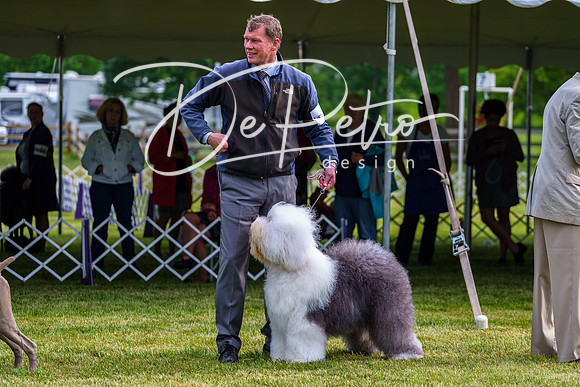 20190523-DSC07346