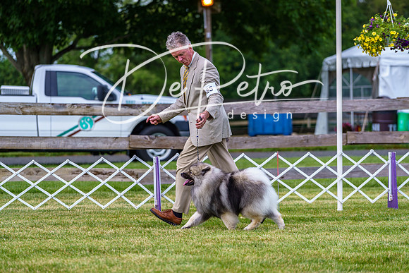 20190523-DSC07084