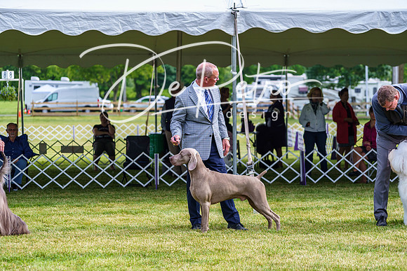 20190523-DSC07339