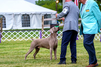 20190523-DSC07004