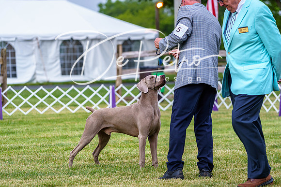 20190523-DSC07004
