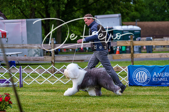 20190523-DSC07286
