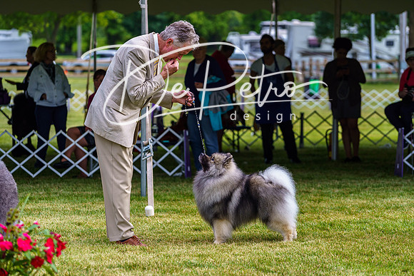 20190523-DSC07352