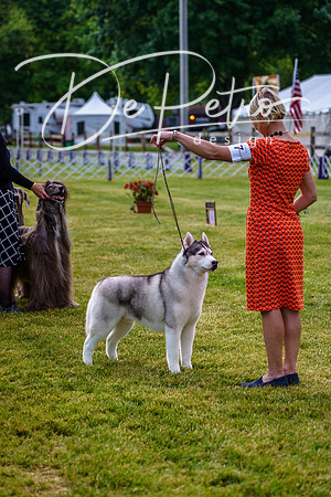 20190523-DSC07322